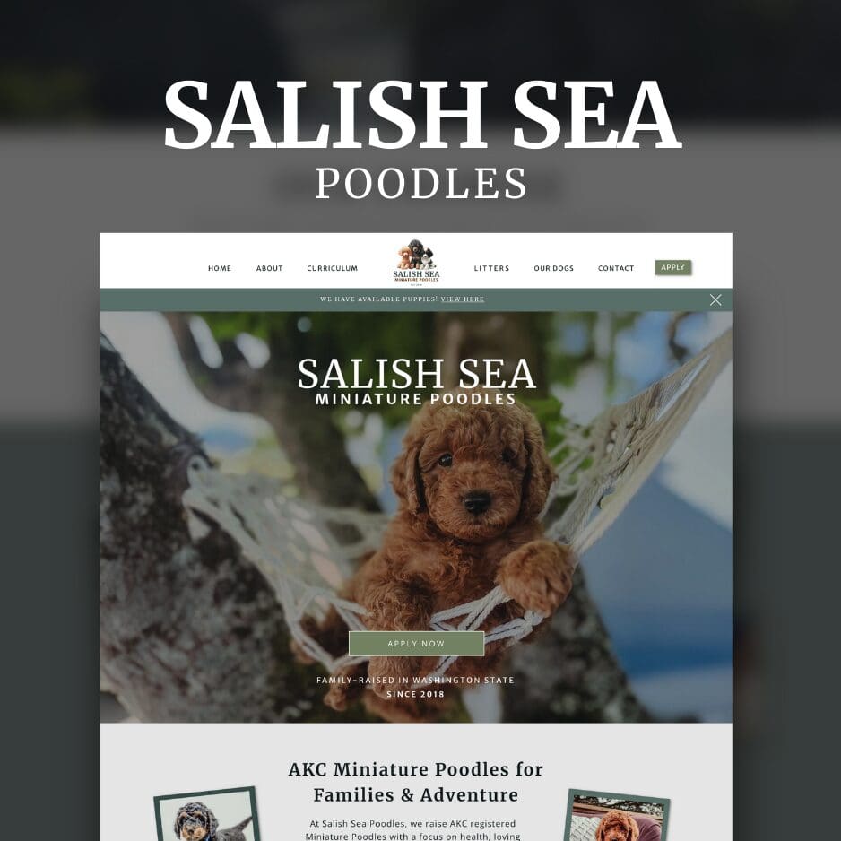 Breeder Website Design From Scrath